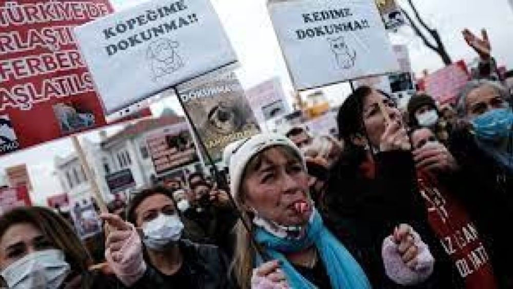 Hayvan hakları aktivistleri İstanbul'da miting düzenledi
